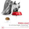 imageRoyal Canin XSmall Adult 8 Dry Dog Food 25 lb bag