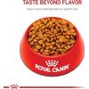 imageRoyal Canin XSmall Adult 8 Dry Dog Food 25 lb bag