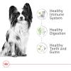 imageRoyal Canin XSmall Adult Dry Dog Food 25 lb bag14 Pound Pack of 1