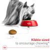 imageRoyal Canin XSmall Adult Dry Dog Food 25 lb bag25 Pound Pack of 1