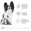 imageRoyal Canin XSmall Adult Dry Dog Food 25 lb bag25 Pound Pack of 1