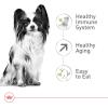 imageRoyal Canin XSmall Aging 12 Dry Dog Food 25 lb bag