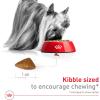 imageRoyal Canin XSmall Aging 12 Dry Dog Food 25 lb bag