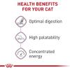 imageRoyal Canin Adult Cat Sensitive Digestion Dry Adult Cat Food 15 lb bag15 Pound Pack of 1