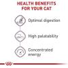 imageRoyal Canin Adult Cat Sensitive Digestion Dry Adult Cat Food 15 lb bag7 Pound Pack of 1