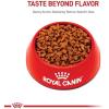 imageRoyal Canin Adult Cat Sensitive Digestion Dry Adult Cat Food 15 lb bag7 Pound Pack of 1