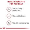 imageRoyal Canin Adult Instinctive Thin Slices in Gravy Wet Cat Food 3 oz 6Pack3 Ounce Pack of 24