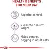 imageRoyal Canin Appetite Control SpayedNeutered Dry Adult Cat Food 6 lb bag14 Pound Pack of 1