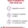 imageRoyal Canin Appetite Control SpayedNeutered Dry Adult Cat Food 6 lb bag3 Ounce Pack of 24