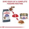 imageRoyal Canin Appetite Control SpayedNeutered Dry Adult Cat Food 6 lb bag3 Ounce Pack of 24