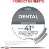 imageRoyal Canin Feline Care Nutrition Dental Care Dry Cat Food 6 lb bagChicken