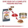 imageRoyal Canin Feline Care Nutrition Hair ampamp Skin Care Thin Slices in Gravy Canned Cat Food 3 Ounce Pack of 2412 Count Pack of 1
