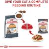 imageRoyal Canin Feline Care Nutrition Hair ampamp Skin Care Thin Slices in Gravy Canned Cat Food 3 Ounce Pack of 243 Ounce Pack of 12