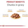 imageRoyal Canin Feline Care Nutrition Hair ampamp Skin Care Thin Slices in Gravy Canned Cat Food 3 Ounce Pack of 243 Ounce Pack of 12
