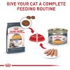 imageRoyal Canin Feline Care Nutrition Hair ampamp Skin Care Thin Slices in Gravy Canned Cat Food 3 Ounce Pack of 2451 Ounce Pack of 24