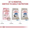 imageRoyal Canin Feline Health Nutrition Dry Indoor Cat Food Supports Healthy Weight Digestive Health and Hairball Management 3 lb Bag3 Pound Pack of 1