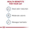imageRoyal Canin Feline Health Nutrition Dry Indoor Cat Food Supports Healthy Weight Digestive Health and Hairball Management 3 lb Bag7 Pound Pack of 1