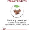 imageRoyal Canin Feline Health Nutrition Kitten Dry 7 lb bag14 Pound Pack of 1