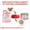 imageRoyal Canin Feline Health Nutrition Kitten Dry 7 lb bag3 Pound Pack of 1