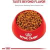 imageRoyal Canin Feline Health Nutrition Kitten Dry 7 lb bag3 Pound Pack of 1
