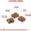 imageRoyal Canin Feline Health Nutrition Kitten Dry 7 lb bag7 Pound Pack of 1