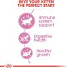 imageRoyal Canin Feline Health Nutrition Kitten Dry 7 lb bag7 Pound Pack of 1