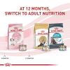 imageRoyal Canin Feline Health Nutrition Kitten Dry 7 lb bag7 Pound Pack of 1