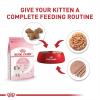 imageRoyal Canin Feline Health Nutrition Kitten Loaf in Sauce Canned Cat Food 3 oz can Pack of 2412 Count Pack of 1