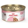 imageRoyal Canin Feline Health Nutrition Kitten Loaf in Sauce Canned Cat Food 3 oz can Pack of 243 Ounce Pack of 24