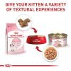 imageRoyal Canin Feline Health Nutrition Kitten Loaf in Sauce Canned Cat Food 3 oz can Pack of 243 Ounce Pack of 24