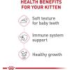 imageRoyal Canin Feline Health Nutrition Kitten Loaf in Sauce Canned Cat Food 3 oz can Pack of 243 Ounce Pack of 24