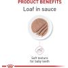 imageRoyal Canin Feline Health Nutrition Kitten Loaf in Sauce Canned Cat Food 3 oz can Pack of 2451 Ounce Pack of 24
