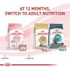 imageRoyal Canin Feline Health Nutrition Kitten Loaf in Sauce Canned Cat Food 3 oz can Pack of 2451 Ounce Pack of 24