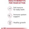 imageRoyal Canin Feline Health Nutrition Kitten Loaf in Sauce Canned Cat Food 3 oz can Pack of 2451 Ounce Pack of 24