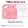imageRoyal Canin Feline Health Nutrition Kitten Loaf in Sauce Canned Cat Food 3 oz can Pack of 2451 Ounce Pack of 24