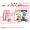 imageRoyal Canin Feline Health Nutrition Kitten SpayedNeutered Dry Cat Food 25 lb Bag25 Pound Pack of 1