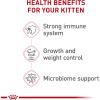 imageRoyal Canin Feline Health Nutrition Kitten SpayedNeutered Dry Cat Food 25 lb Bag25 Pound Pack of 1