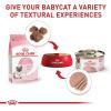 imageRoyal Canin Feline Health Nutrition Mother ampamp Babycat Ultra Soft Mousse in Sauce Canned Cat Food 3 oz can 12countChicken