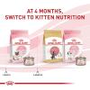 imageRoyal Canin Feline Health Nutrition Mother ampamp Babycat Ultra Soft Mousse in Sauce Canned Cat Food 3 oz can 12countChicken