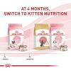imageRoyal Canin Feline Health Nutrition Mother ampamp Babycat Ultra Soft Mousse in Sauce Canned Cat Food 3 oz can 12countChicken