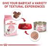 imageRoyal Canin Feline Health Nutrition Mother ampamp Babycat Ultra Soft Mousse in Sauce Canned Cat Food 3 oz can 12countMilk