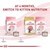imageRoyal Canin Feline Health Nutrition Mother ampamp Babycat Ultra Soft Mousse in Sauce Canned Cat Food 3 oz can 12countMilk