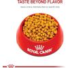 imageRoyal Canin Indoor 7 Adult Dry Cat Food 25 lb bag55 Pound Pack of 1