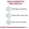 imageRoyal Canin Indoor Long Hair Adult Dry Cat Food 6 lb bag3 Pound Pack of 1