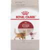imageRoyal Canin Adult Fit ampamp Active Dry Adult Cat Food 3 lb bag7 Pound Pack of 1