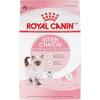 imageRoyal Canin Feline Health Nutrition Kitten Dry 7 lb bag14 Pound Pack of 1