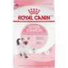 imageRoyal Canin Feline Health Nutrition Kitten Dry 7 lb bag7 Pound Pack of 1