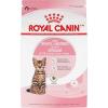 imageRoyal Canin Feline Health Nutrition Kitten SpayedNeutered Dry Cat Food 25 lb Bag25 Pound Pack of 1
