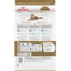 imageRoyal Canin Bengal Breed Adult Dry Cat Food 7 Lb Bag
