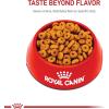 imageRoyal Canin Digestive Care Dry Cat Food 6 lb bag3 Pound Pack of 1